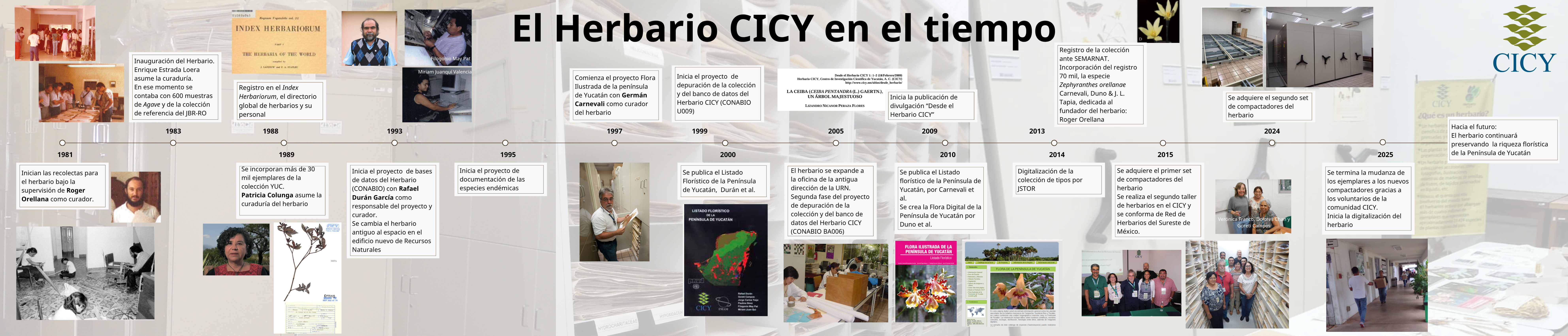 Herbario CICY